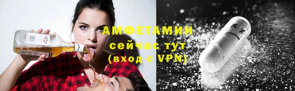 соль ск Козельск