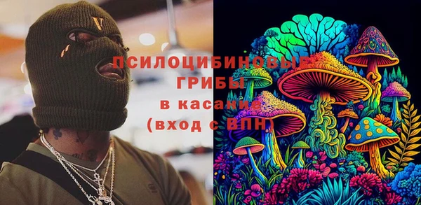 сатива Киренск