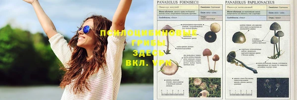 герыч Кинешма