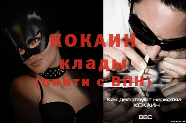 сатива Киренск
