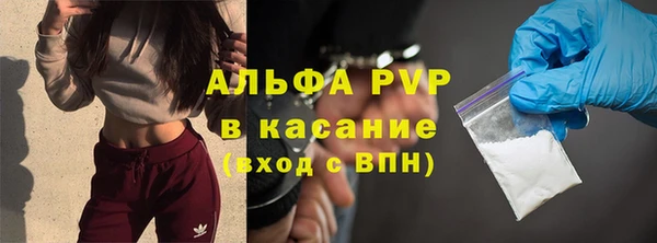PSILOCYBIN Кодинск