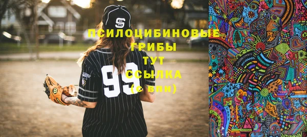сатива Киренск