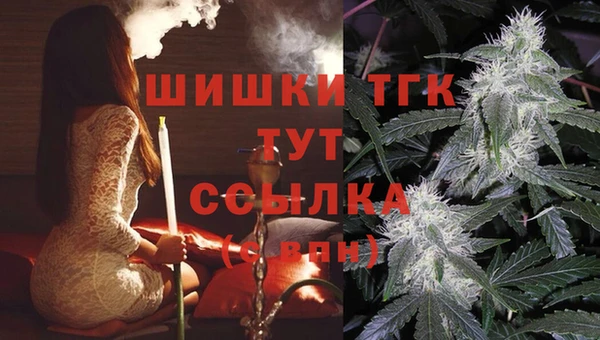 сатива Киренск