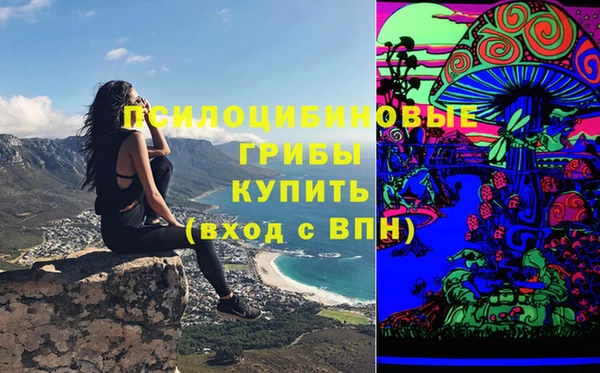 соль ск Козельск